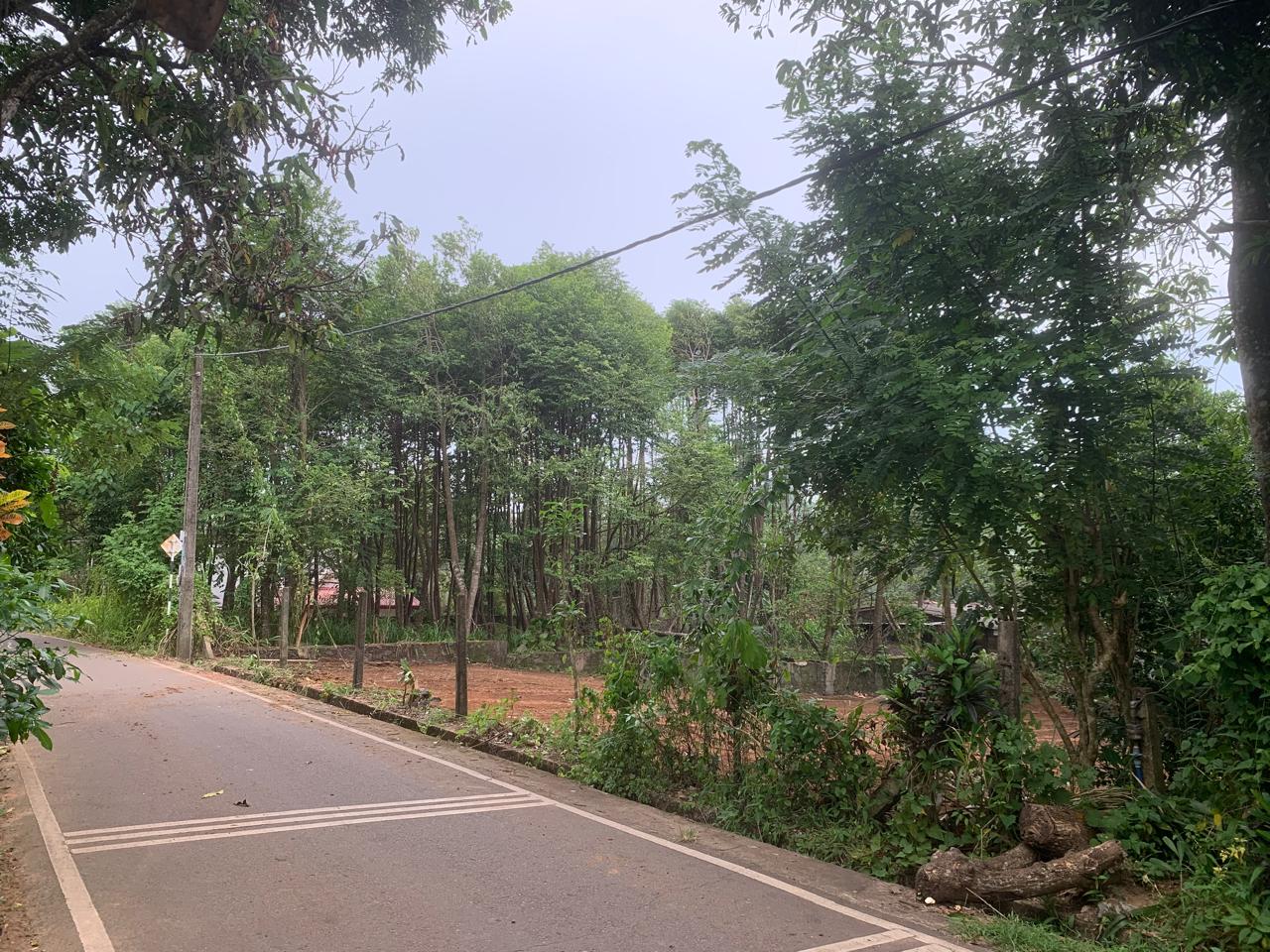 Land for Sale in Panadura , Hirana (25 Perches)