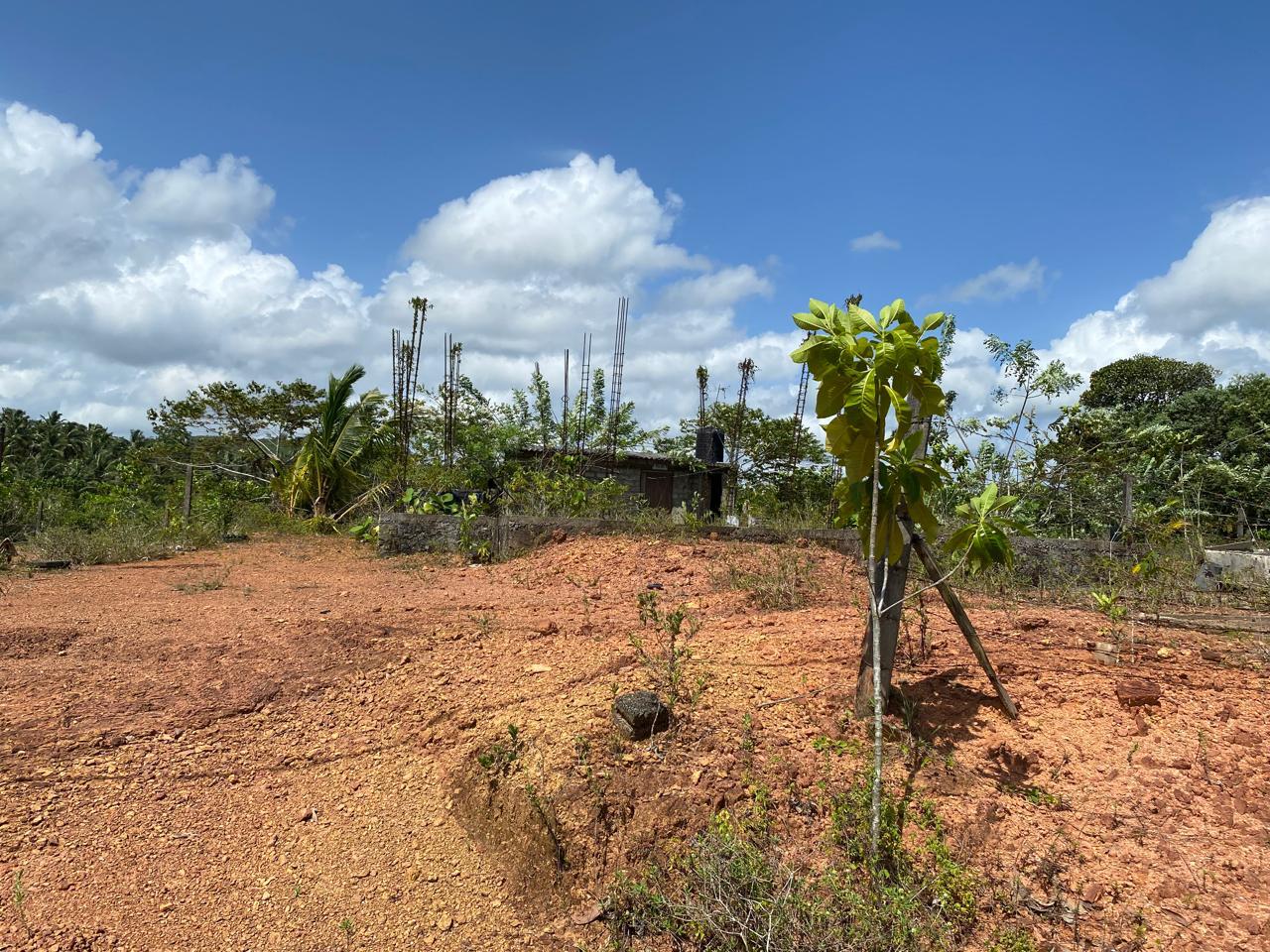 Land for Sale Kalutara South