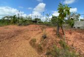 Land for Sale Kalutara South