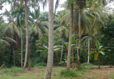 WhatsApp-Image-2025-12-06-at-7.58.03-AM-1