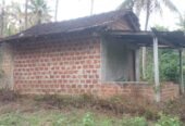 Coconut Land For Sale Kurunegala