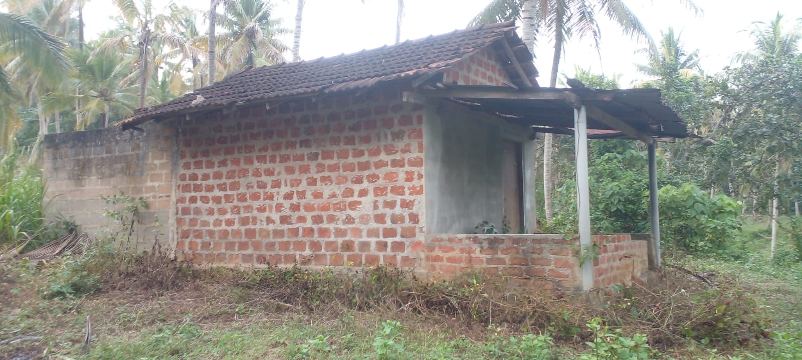 Coconut Land For Sale Kurunegala