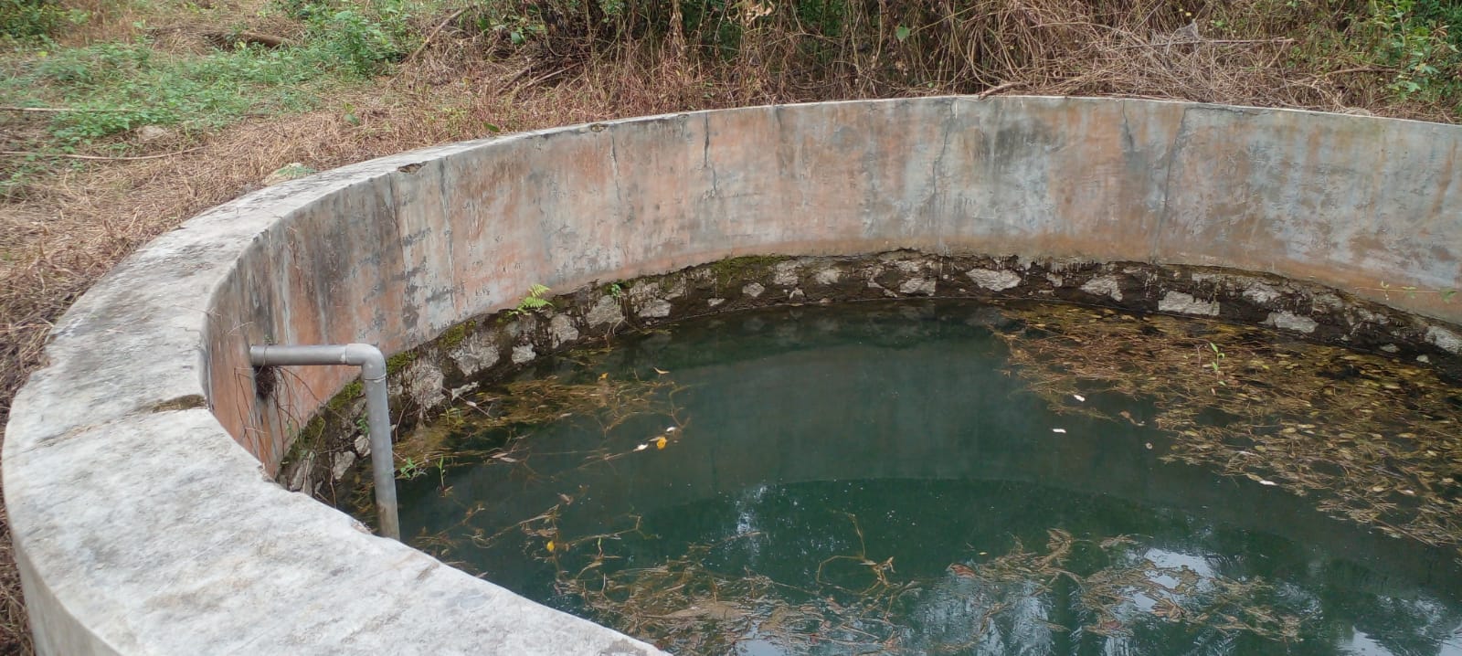 Coconut Land For Sale Kurunegala