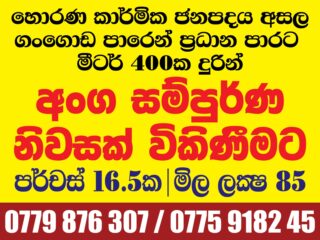 WhatsApp-Image-2025-12-08-at-1.31.25-PM