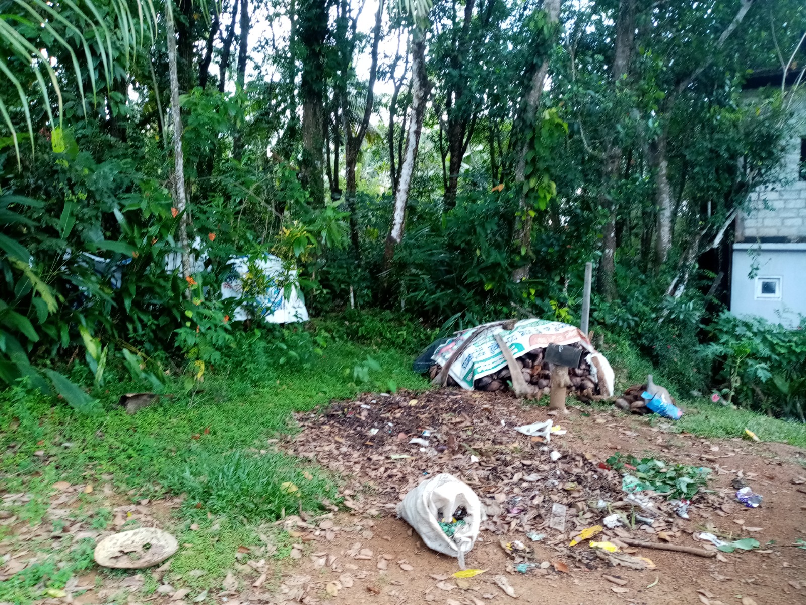 Land For Sale In Gonapala