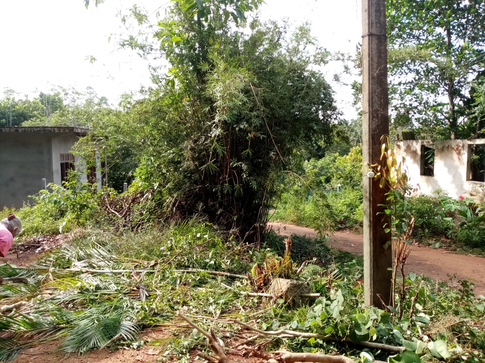 Land For Sale In Gonapala