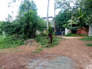 WhatsApp-Image-2025-12-08-at-12.51.31-PM