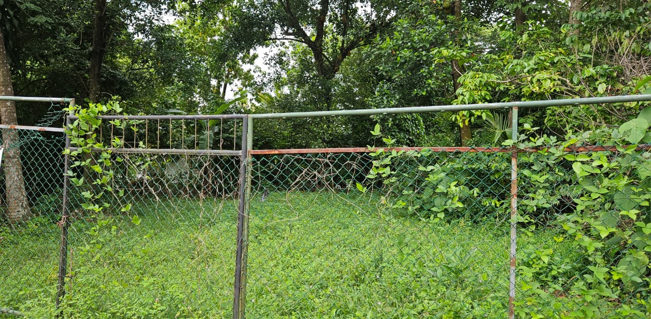 Land for Sale in Himbutana