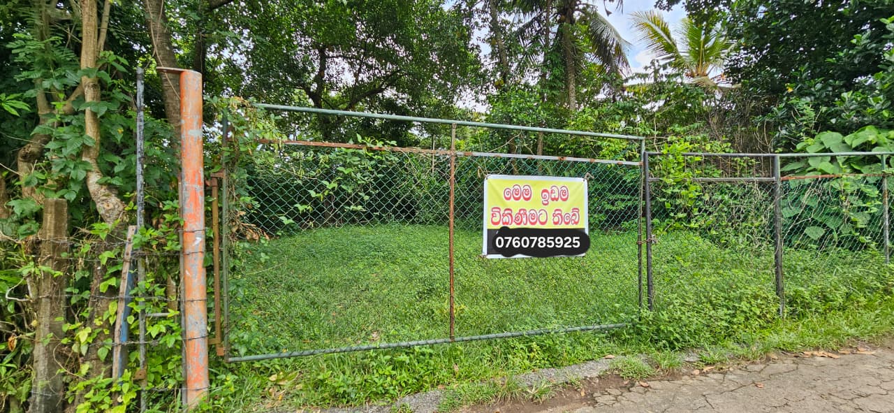 Land for Sale in Himbutana