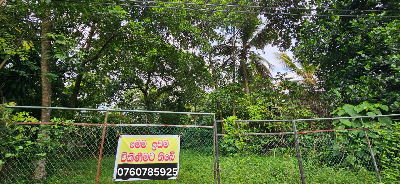 Land for Sale in Himbutana