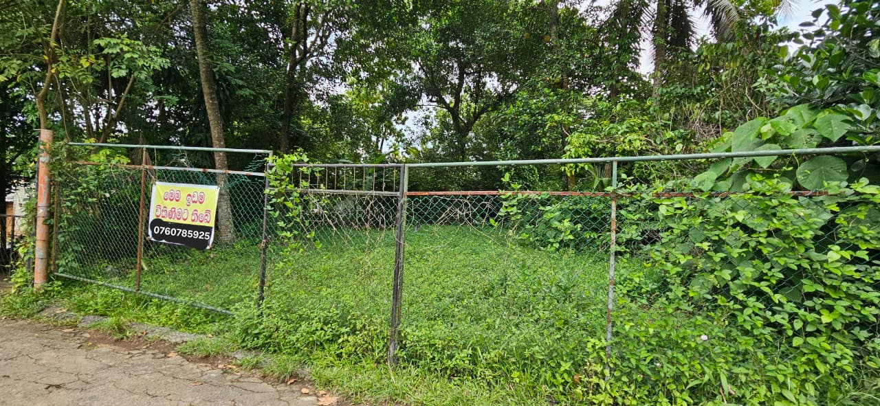 Land for Sale in Himbutana