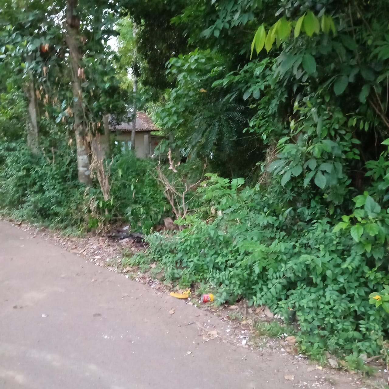 Land For Sale In Kadawatha