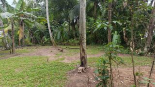 WhatsApp-Image-2025-12-11-at-12.49.47-PM-1