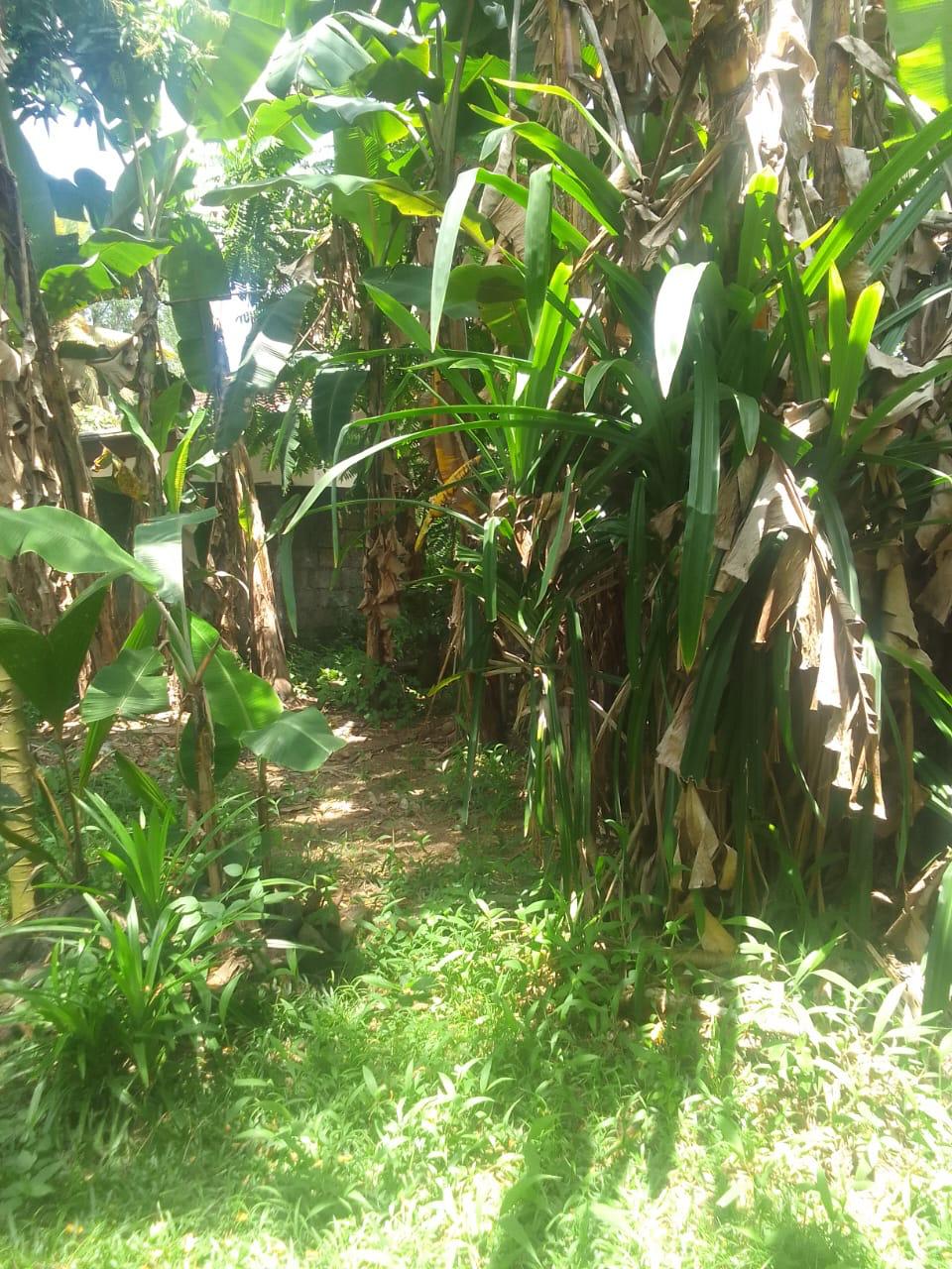 3 BR House for sale in Weliweriya Town