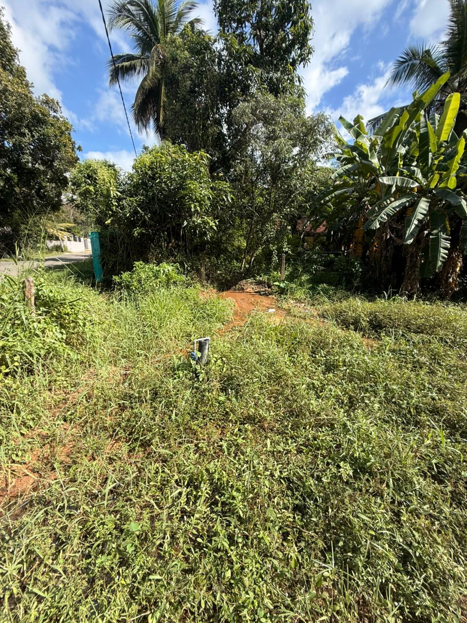 බුත්තල නගරයේ Land for Sale