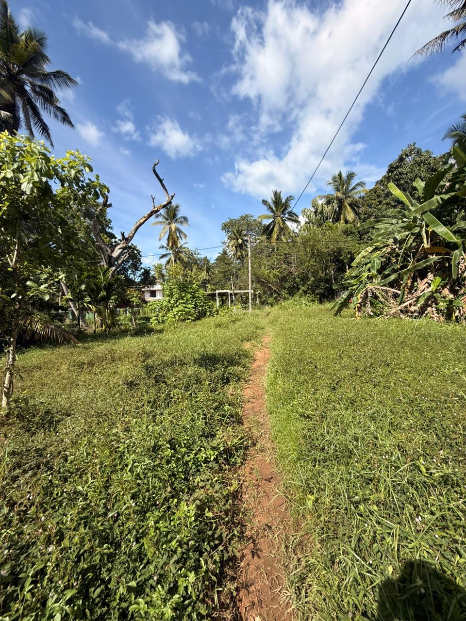 බුත්තල නගරයේ Land for Sale