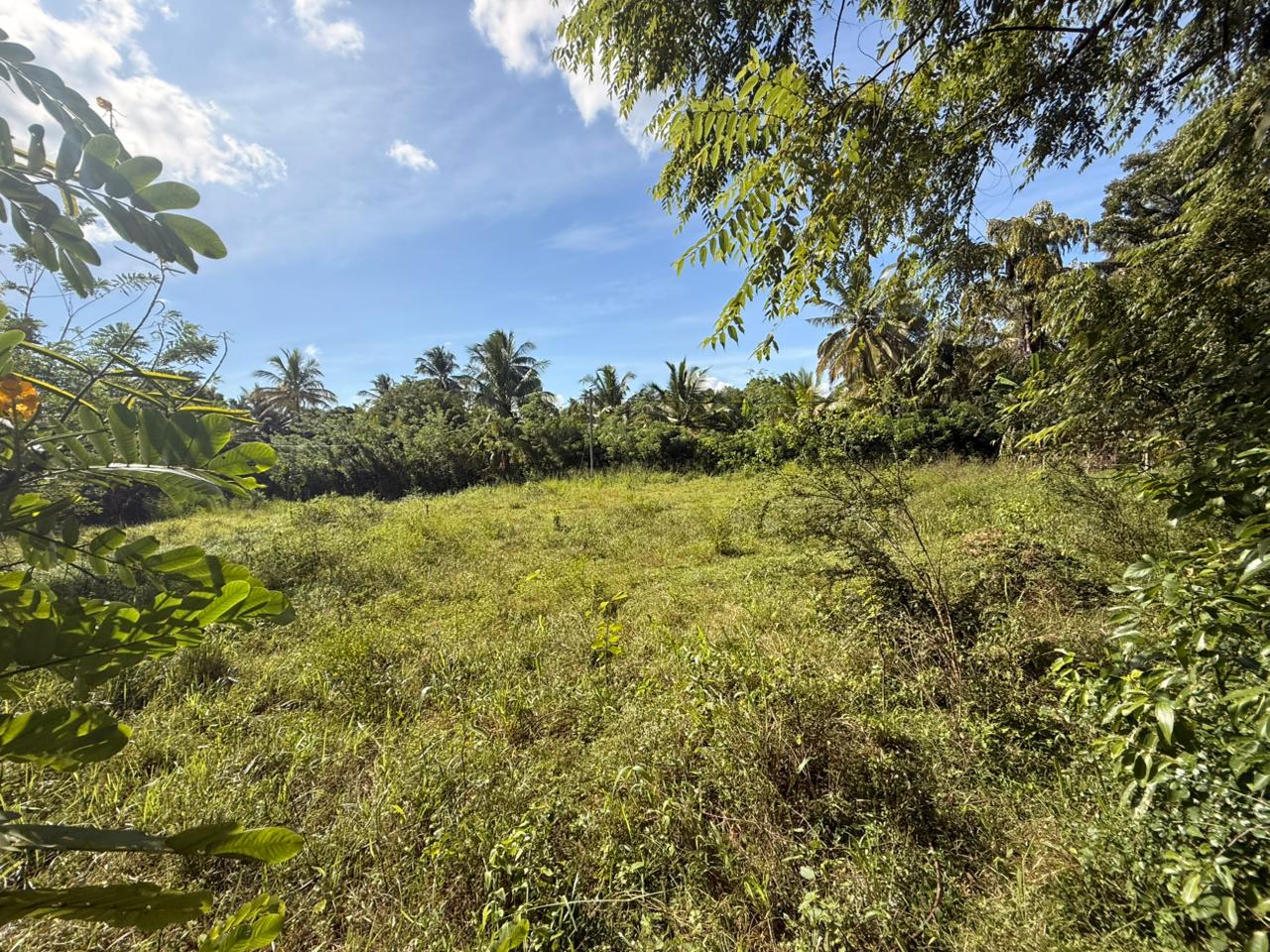 බුත්තල නගරයේ Land for Sale