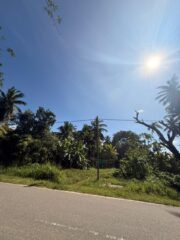 WhatsApp-Image-2025-12-12-at-11.01.49