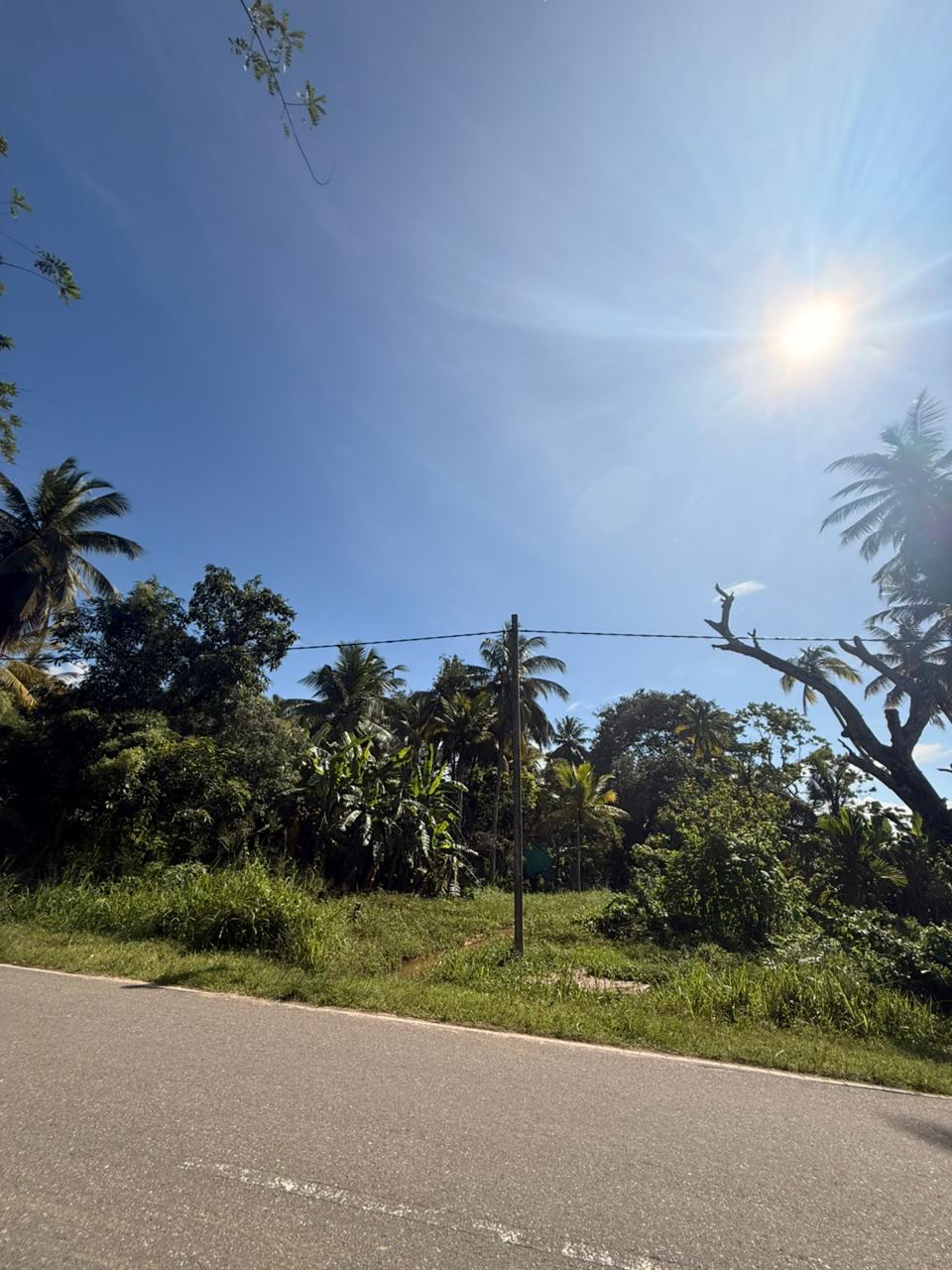 බුත්තල නගරයේ Land for Sale