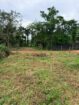 Land for Sale Kirindiwela