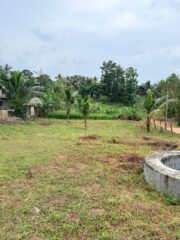 WhatsApp-Image-2025-12-12-at-11.33.35-2