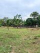 Land for Sale Kirindiwela