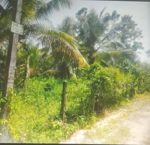 Bare Land Bandaragama