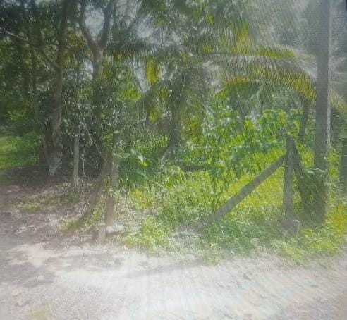 Bare Land Bandaragama