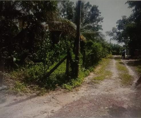 Bare Land Bandaragama