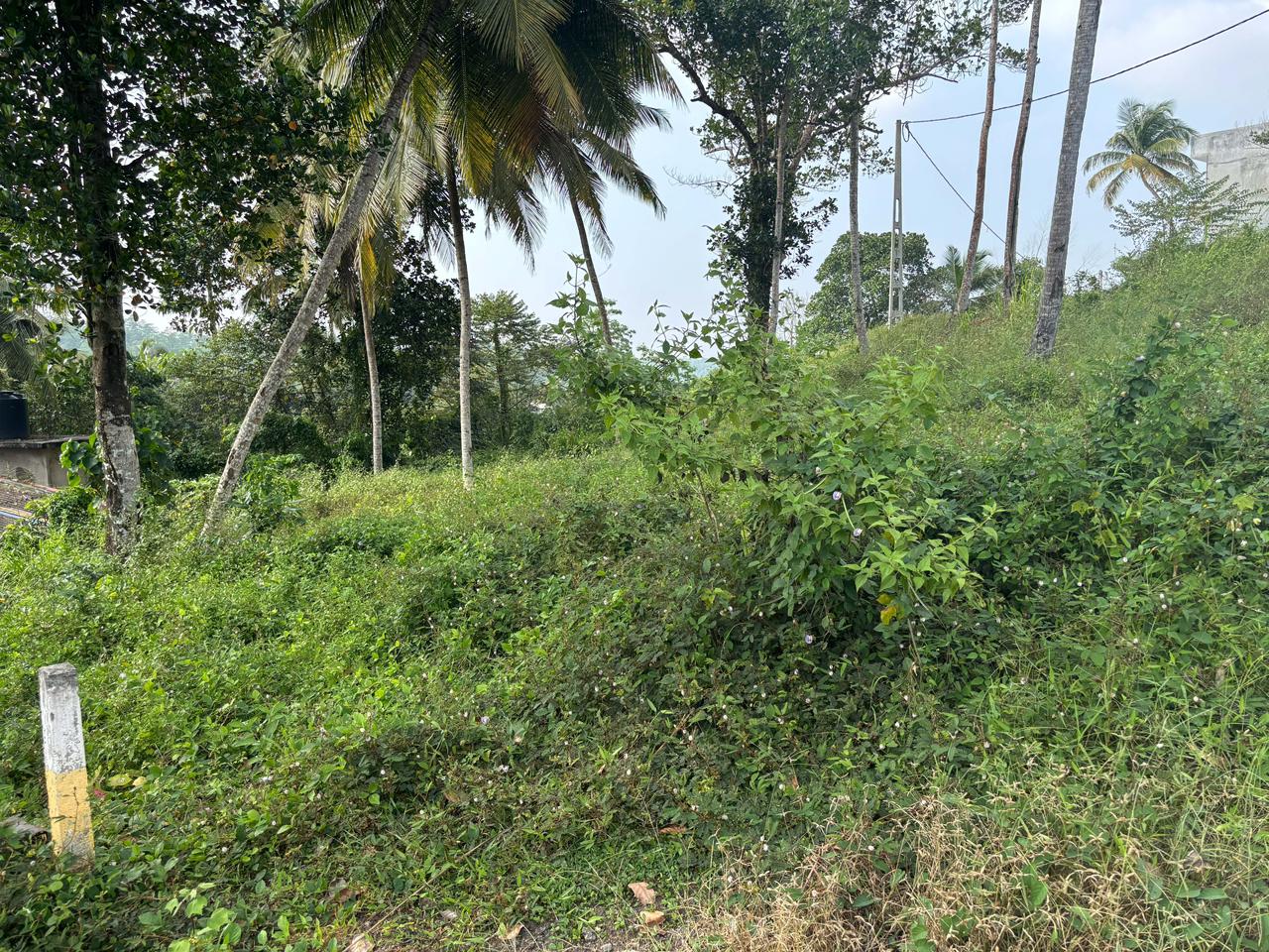 Land for Sale in Hapugala