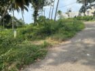 Land for Sale in Hapugala