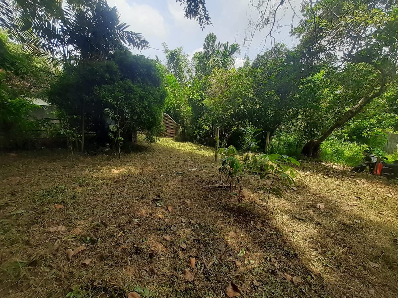 Land for sale kalagedihena