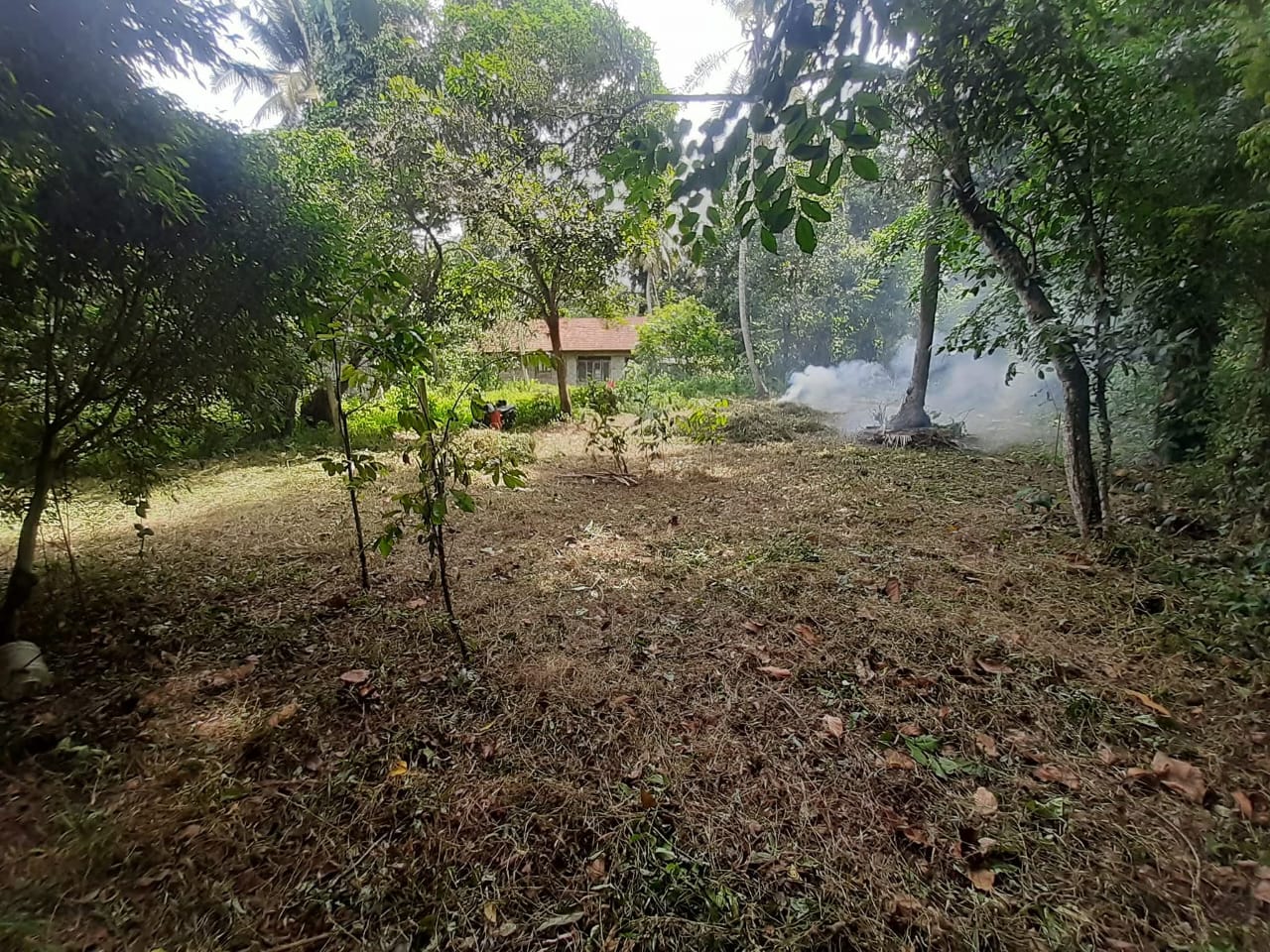 Land for sale kalagedihena