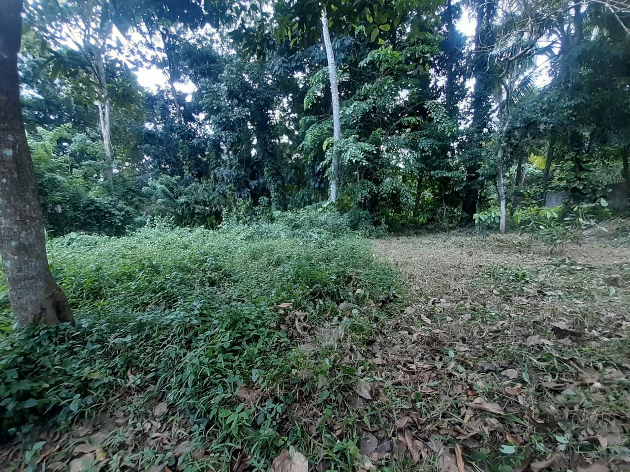 Land for sale kalagedihena