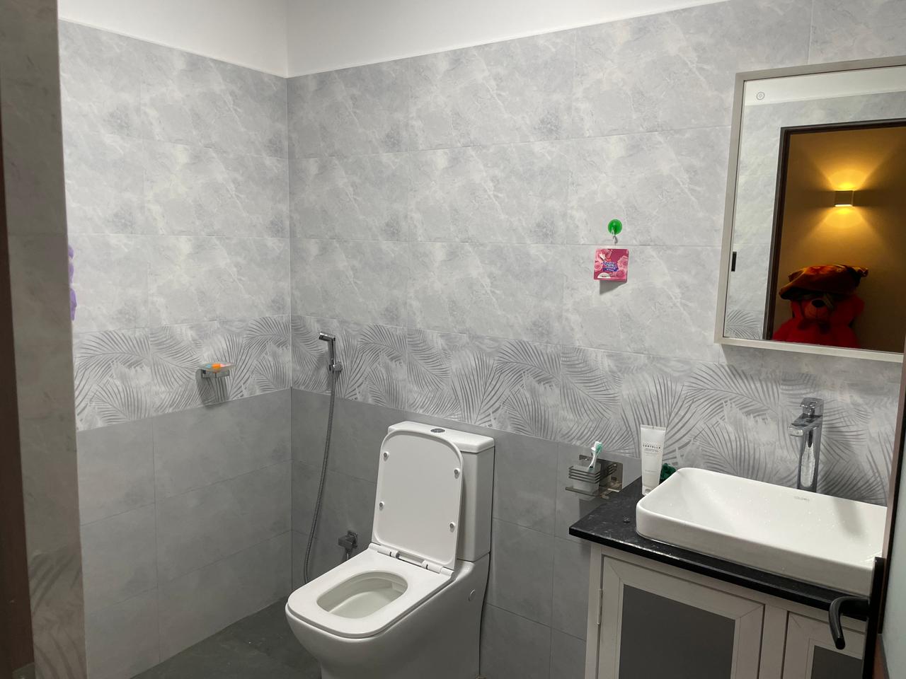 Newly Built House for Sale (single Storey) Bingiriya