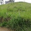 Land for Sale Badulla