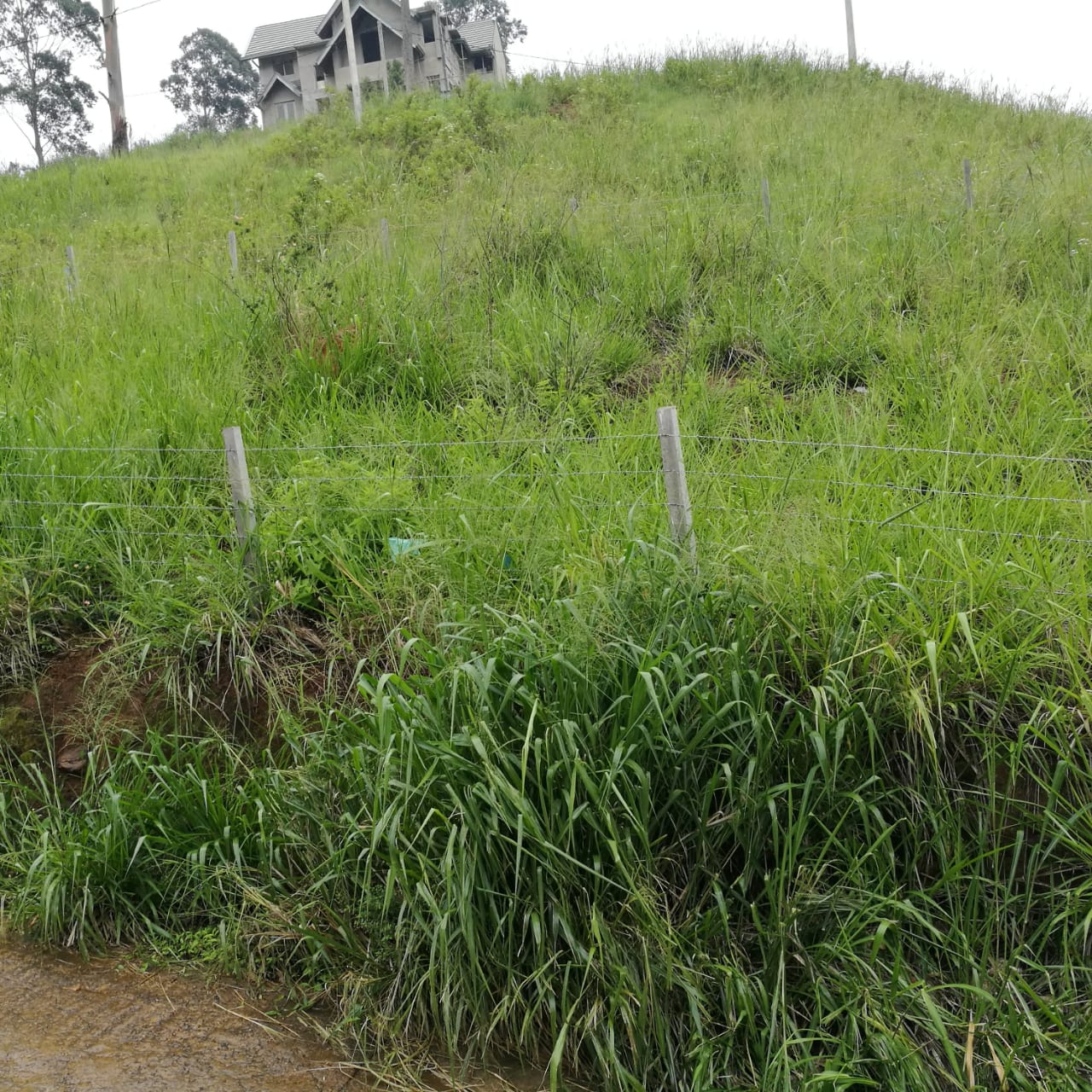 Land for Sale Badulla