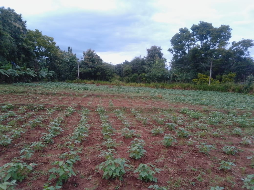 වැල්ලවාය නගරයට ආසන්නව ඉඩමක්