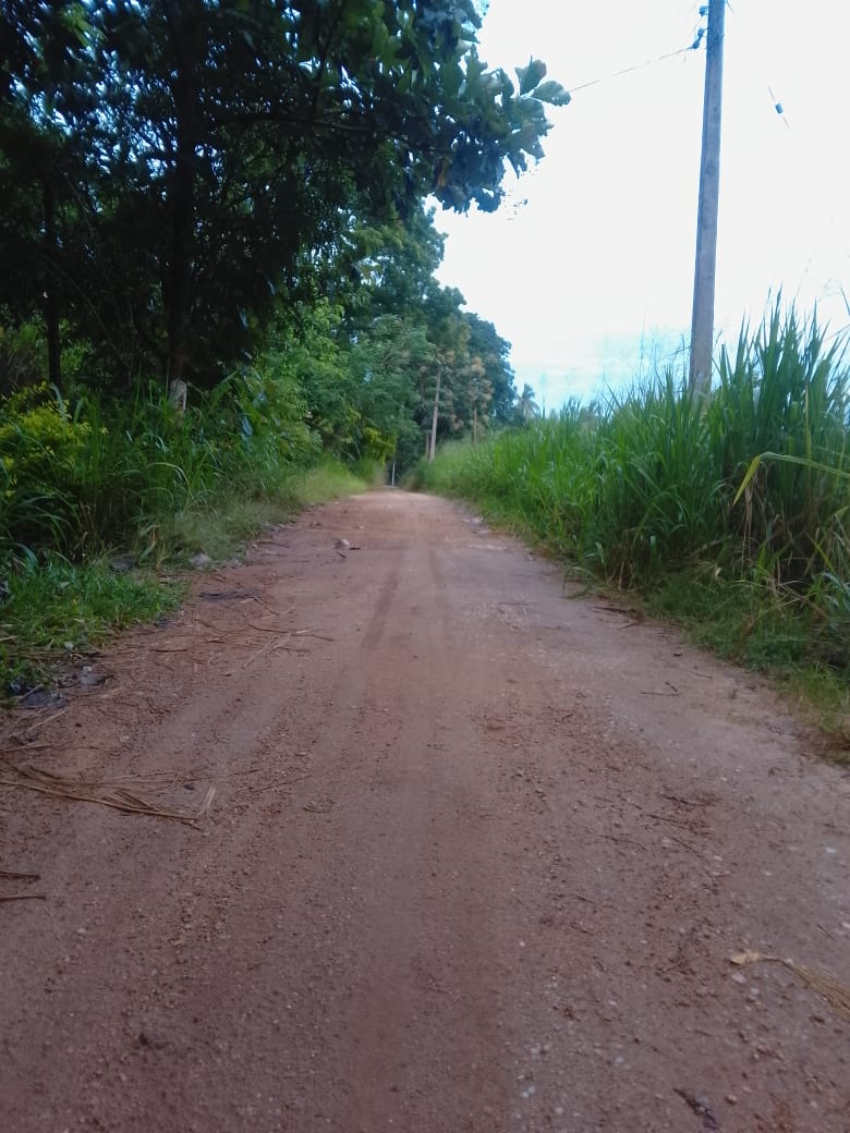 වැල්ලවාය නගරයට ආසන්නව ඉඩමක්