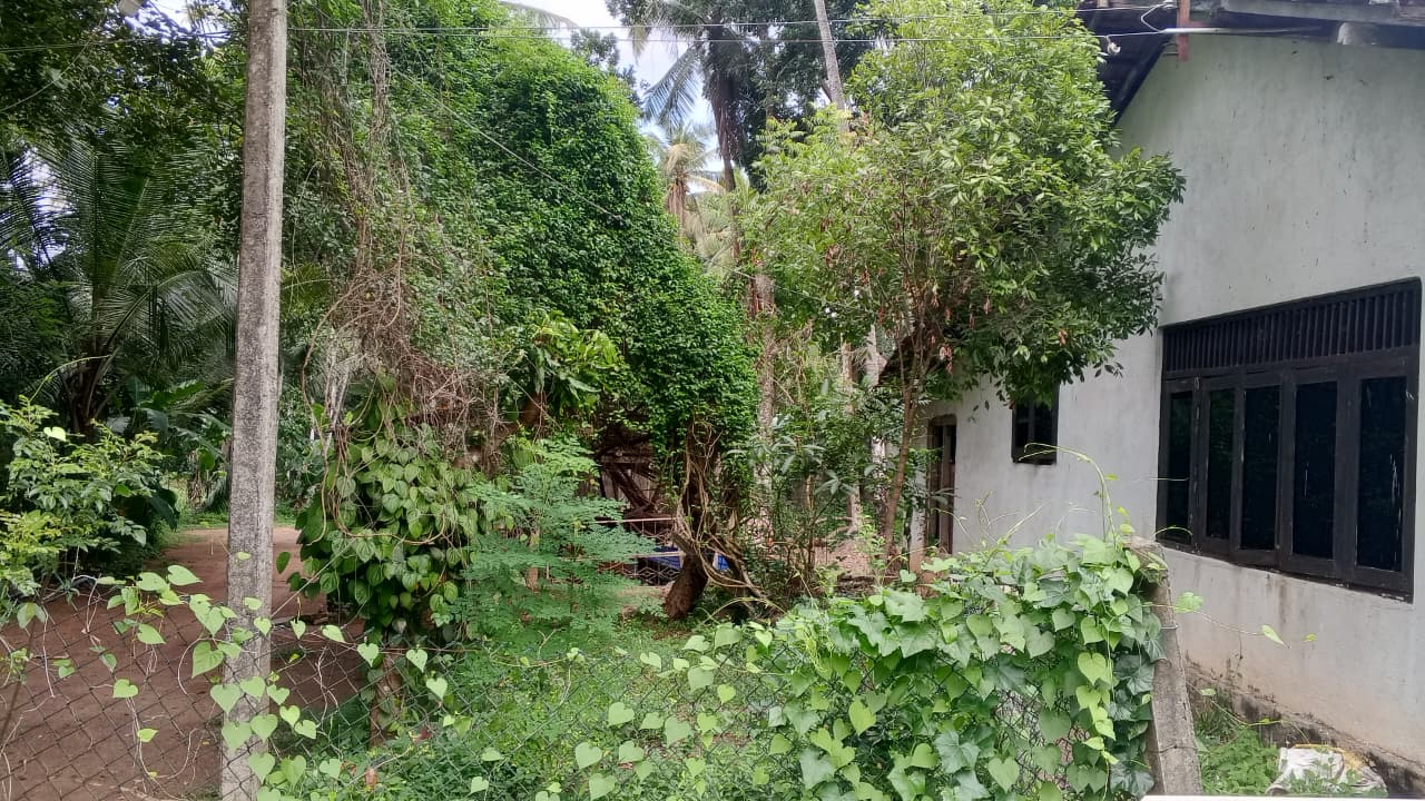 Land for Sale in Minuwangoda