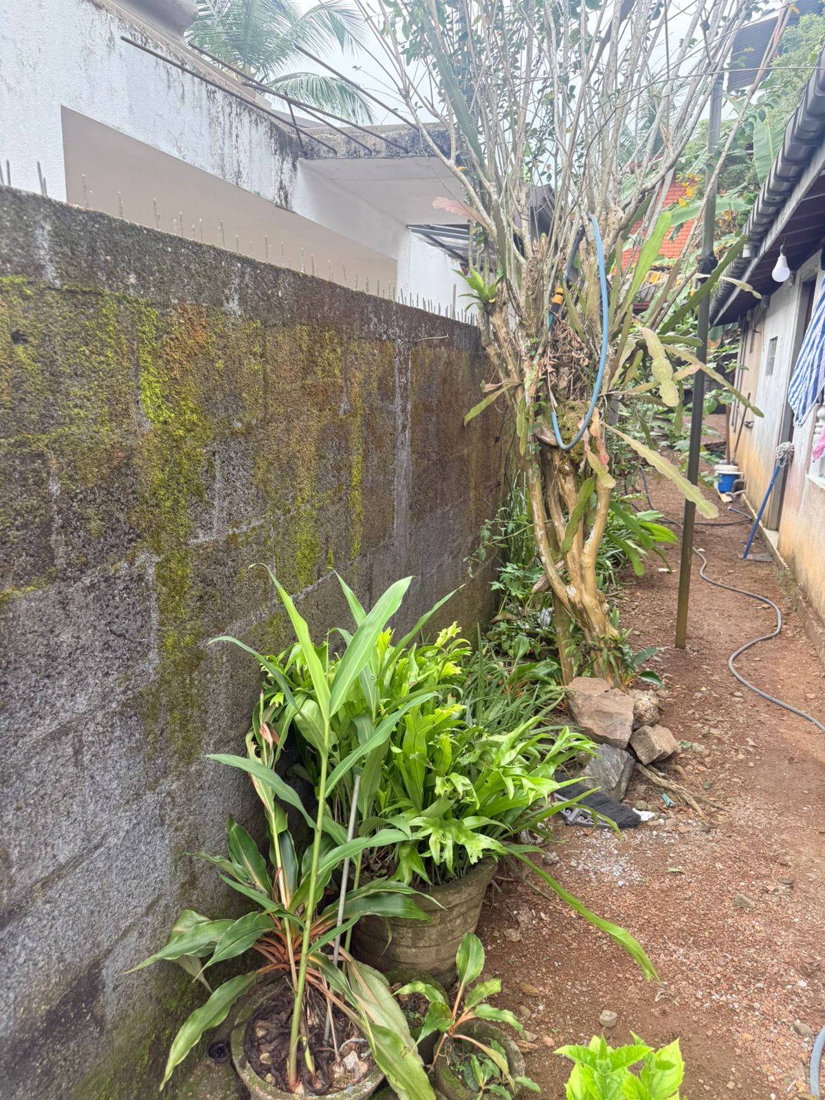 Single Story House for Sale – Meepe