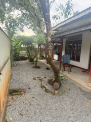 WhatsApp-Image-2025-12-19-at-09.33.36