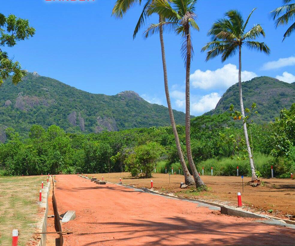 Land for Sale Dambulla, Thittawelgolla