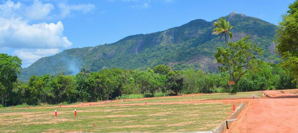 Land for Sale Dambulla, Thittawelgolla