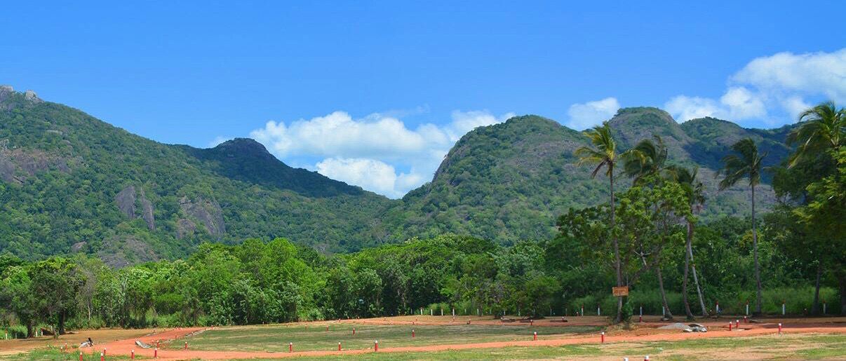 Land for Sale Dambulla, Thittawelgolla