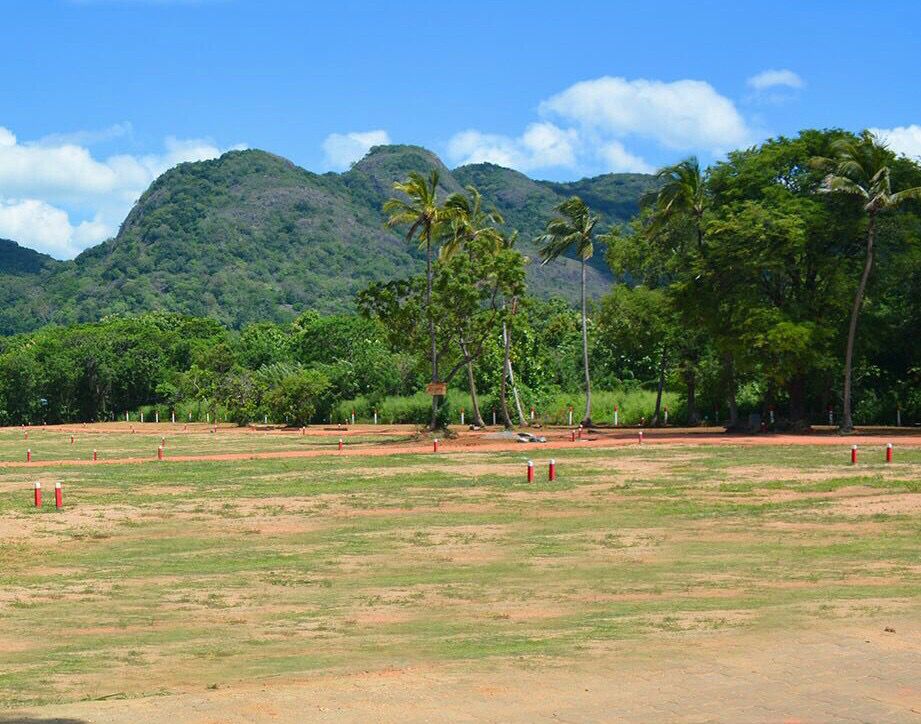Land for Sale Dambulla, Thittawelgolla