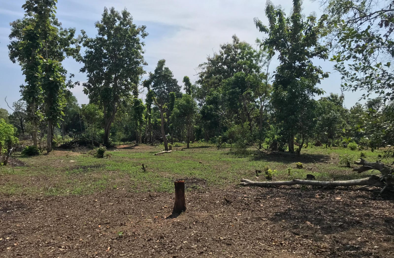 අක්කර 8ක ඉඩම Maligawila