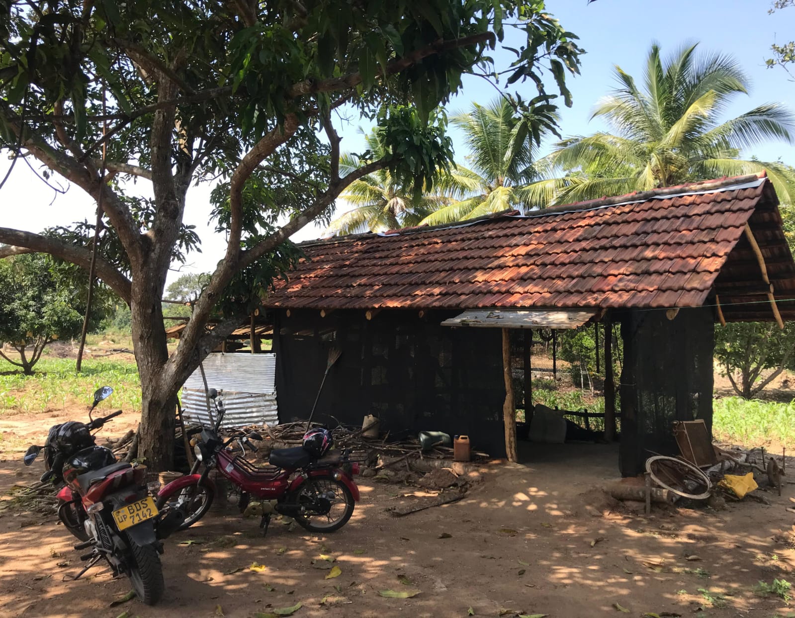 අක්කර 8ක ඉඩම Maligawila