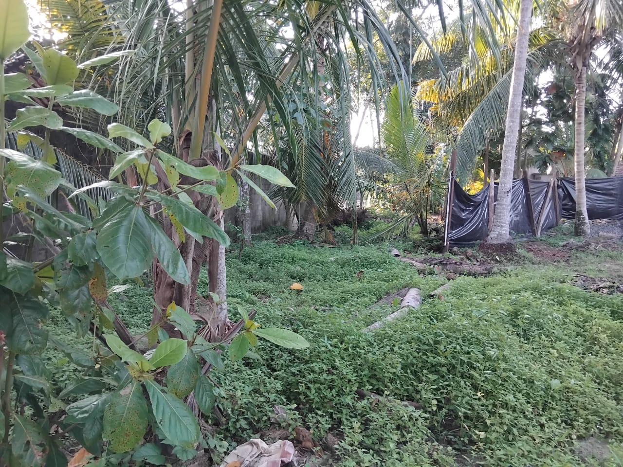 15.50 Purchase Land for Sale Wadduwa