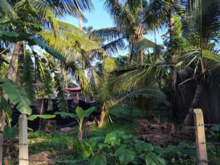 WhatsApp-Image-2025-12-23-at-08.53.22